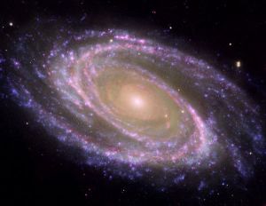 spiralgalaxy